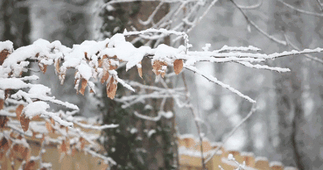 1481078409990047952_big.gif 1481078409990047952_big.gif