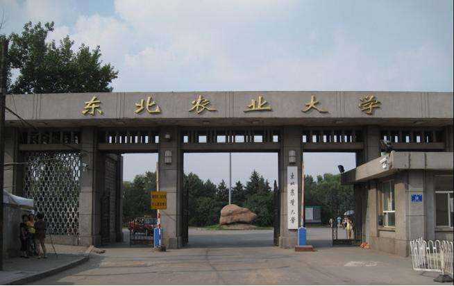 东北农业大学使用红外感应淋浴器