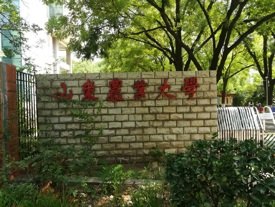 QQ截图20180625163605.png QQ截图20180625163605.png