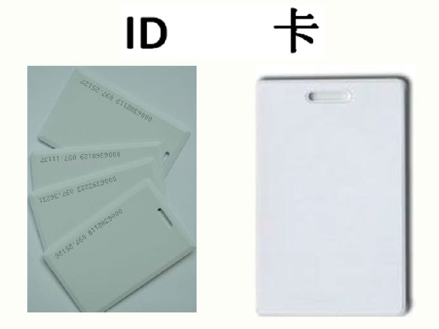 11.jpg 11.jpg